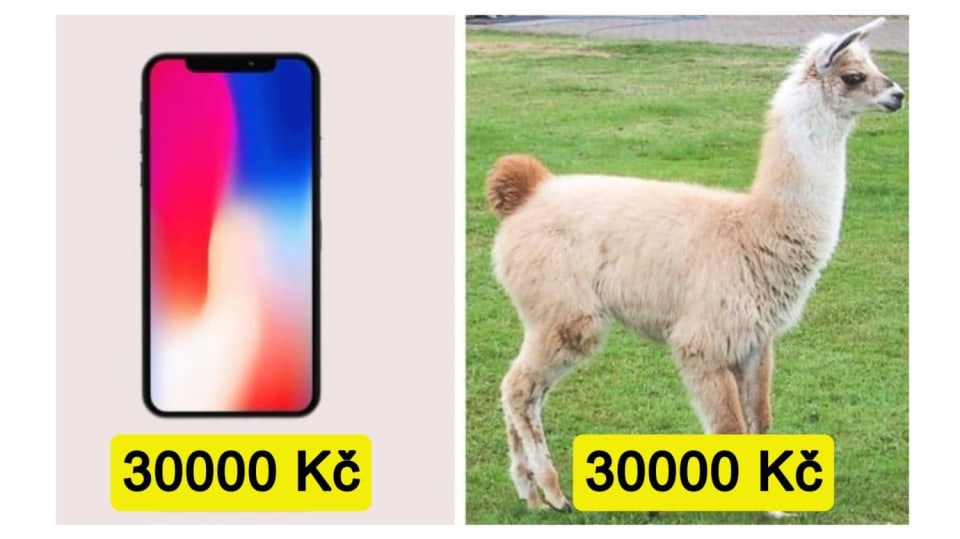 iPhone X nebo lama?